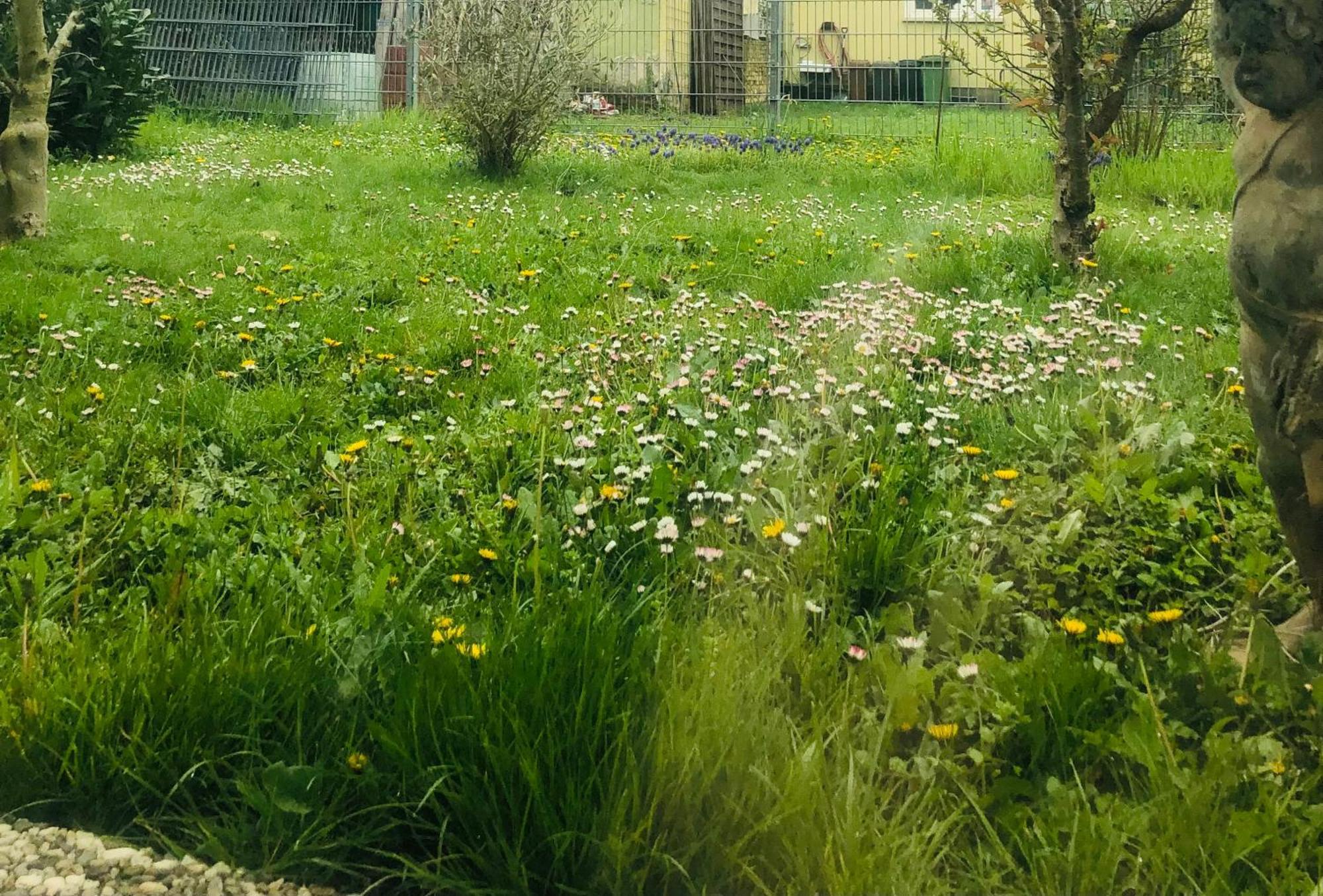 Ferienwohnung Feldmann Freckenfeld ภายนอก รูปภาพ